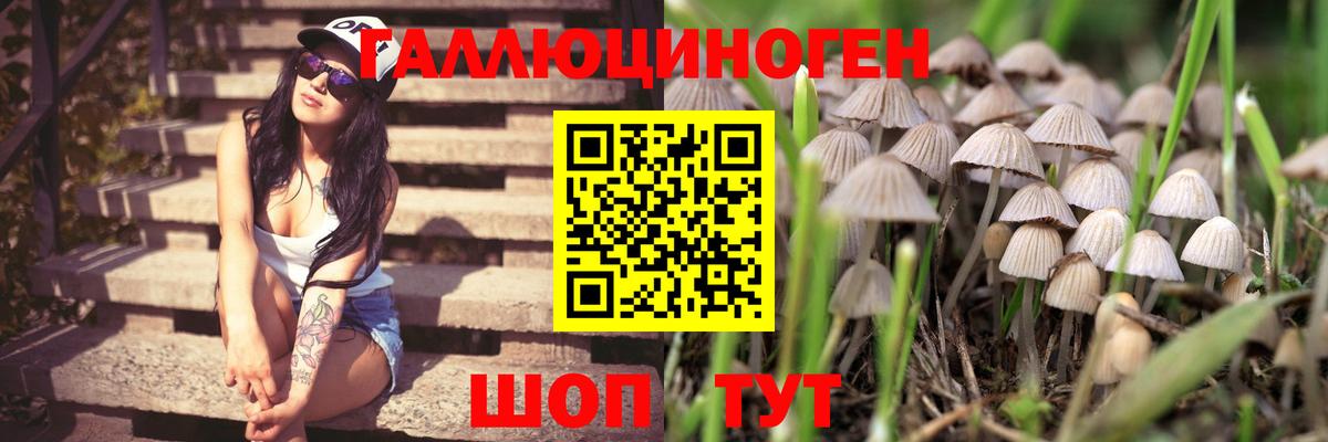 Галлюциногенные грибы MAGIC MUSHROOMS Кубинка