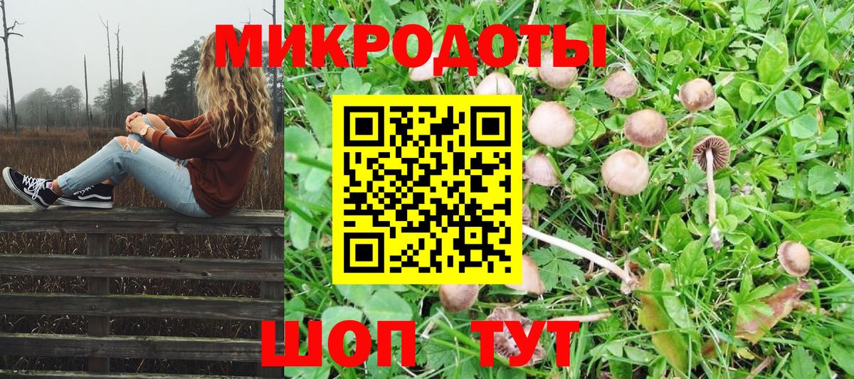 Псилоцибиновые грибы Psilocybine cubensis  Псилоцибиновые грибы Psilocybe  Вход с VPN  Кубинка 